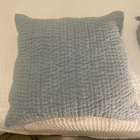 Pottery Barn Euro Shams - Picture 1 of 3